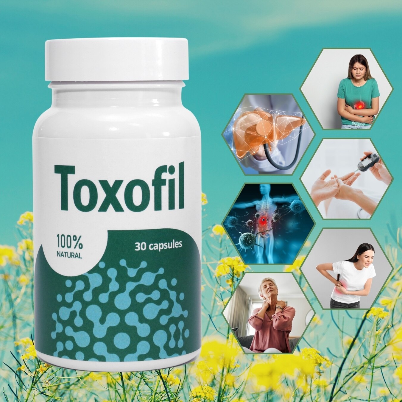 Toxofil